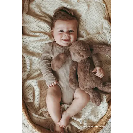 Snuggle Bunnies Penelope the Bunny Spice