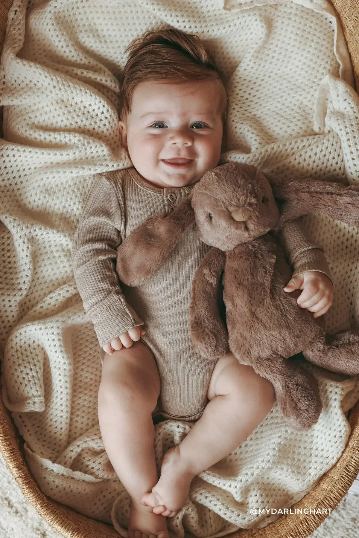 Snuggle Bunnies Penelope the Bunny Spice
