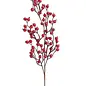 SPRAY BERRY RED 26.5''