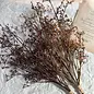 22''t Faux Seeded Baby's Breath Bunch, Autumn Color Fillers Mixture