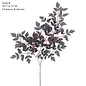 Plum Fake Cimicifuga Ramosa Leaves Branches