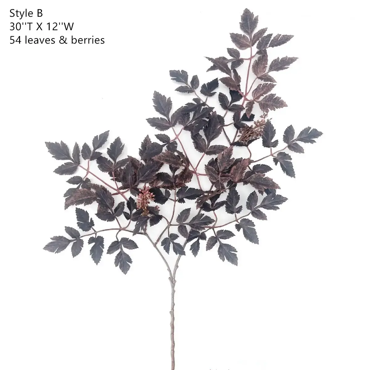 Plum Fake Cimicifuga Ramosa Leaves Branches