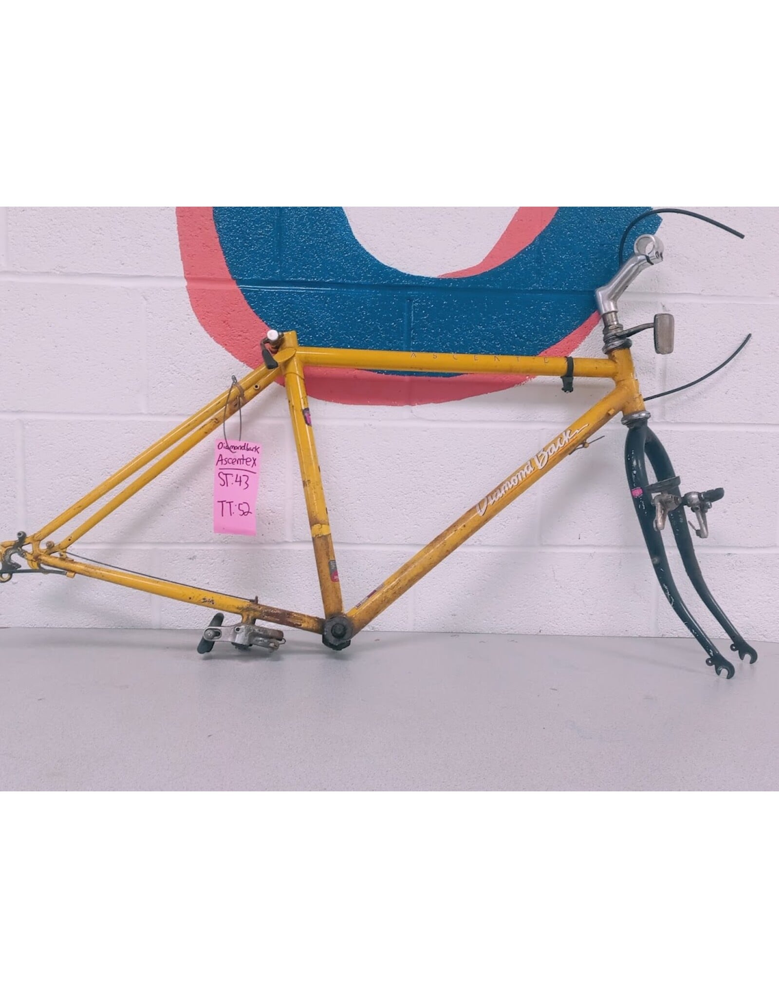 Diamondback 43/52 Diamondback Ascent EX frame