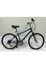 Raleigh SC200