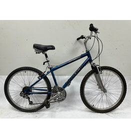 Raleigh SC200