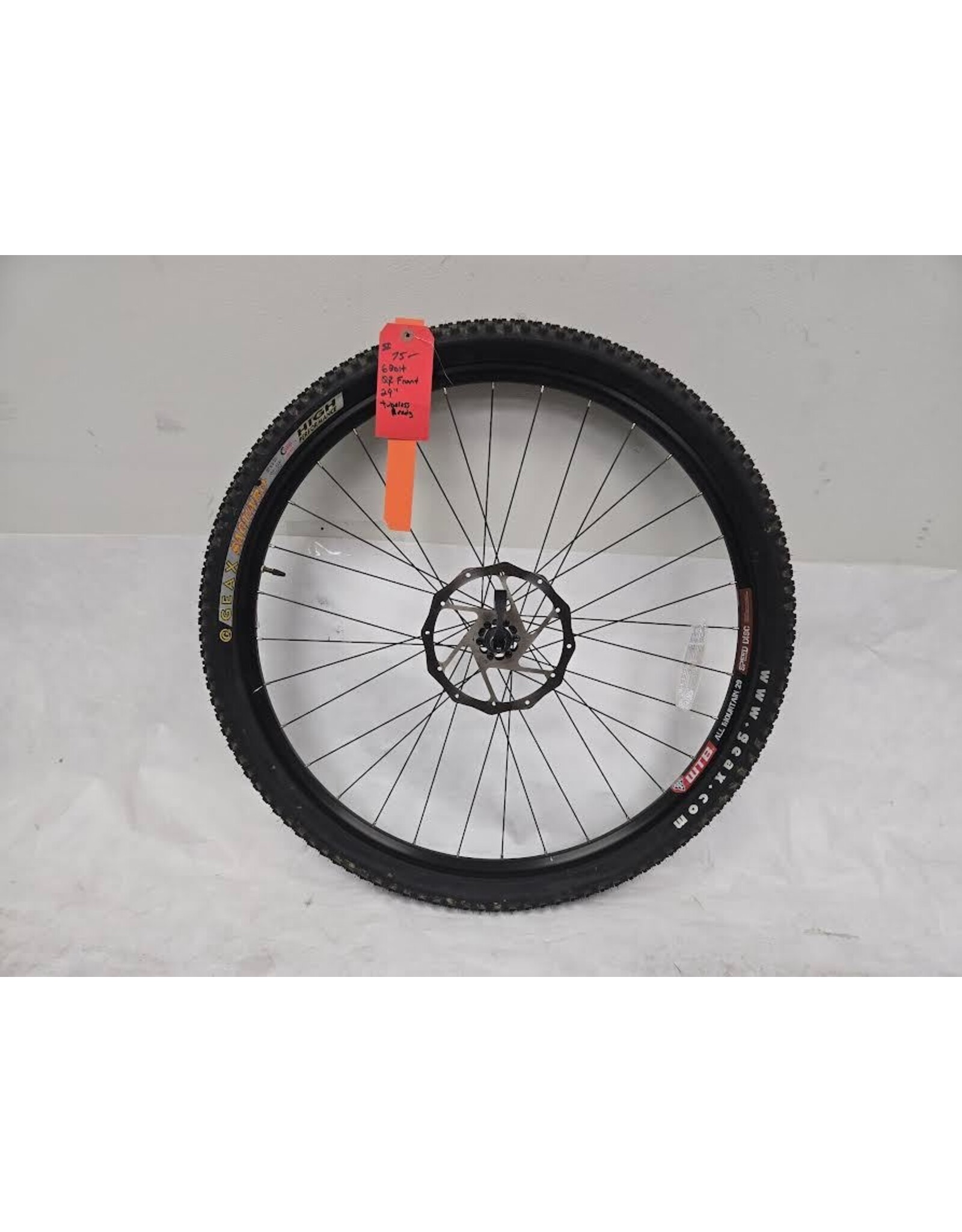 29" WTB All Mountain front wheel 6 bolt disc tubeless tire