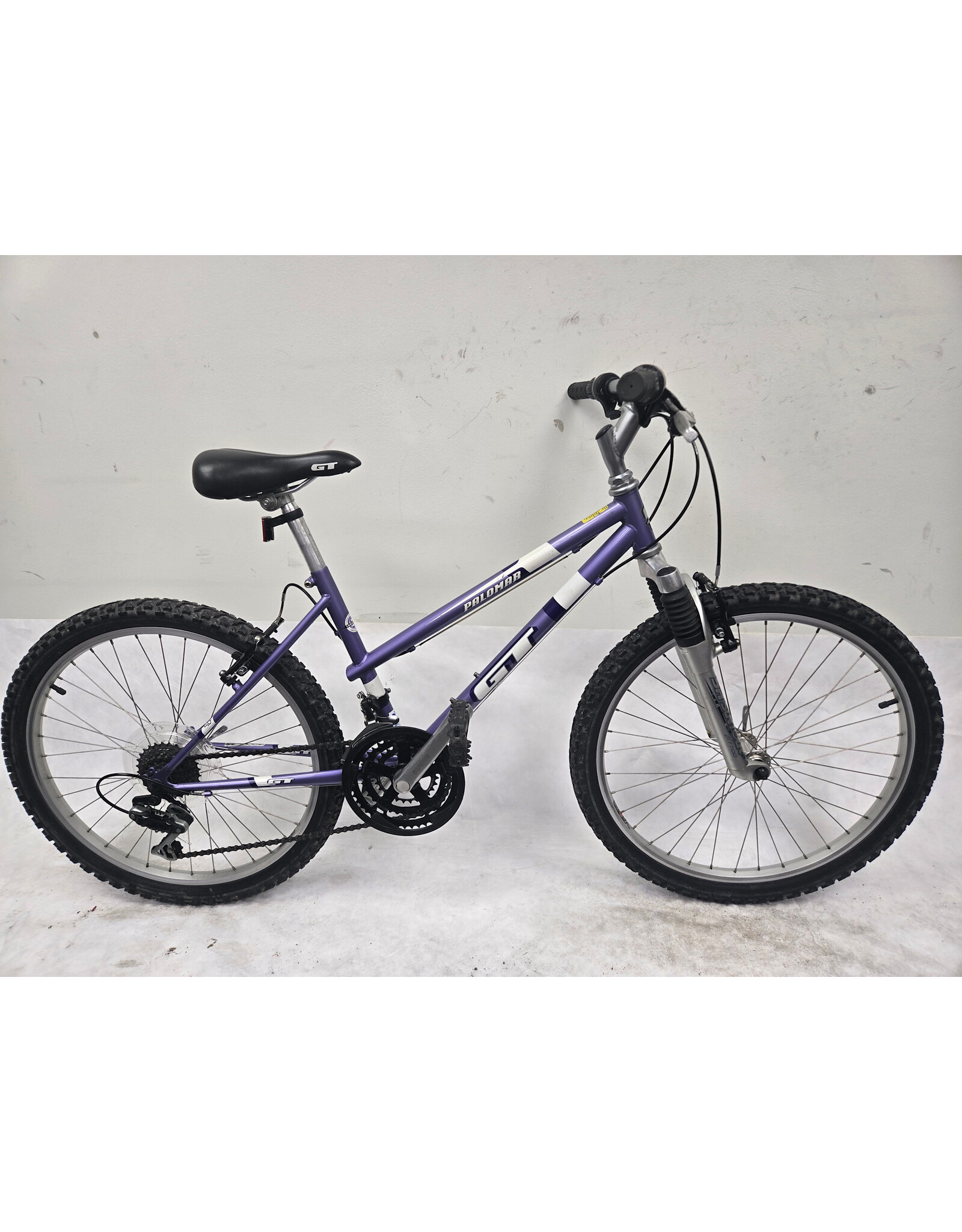 GT GT Palomar, Purple