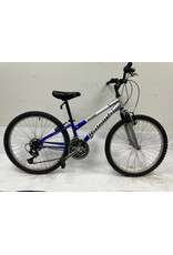 Raleigh M20, Blue/White