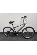 Raleigh Raleigh SC30,  Silver/Blue