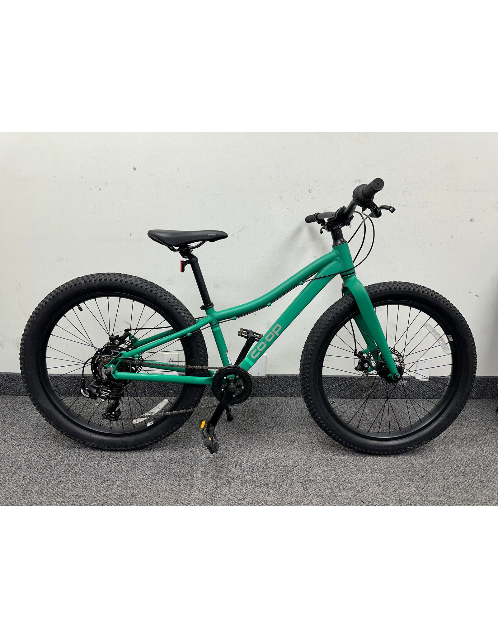REI Co-op Rev 24,  Green