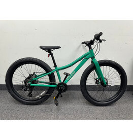 REI Co-op Rev 24,  Green
