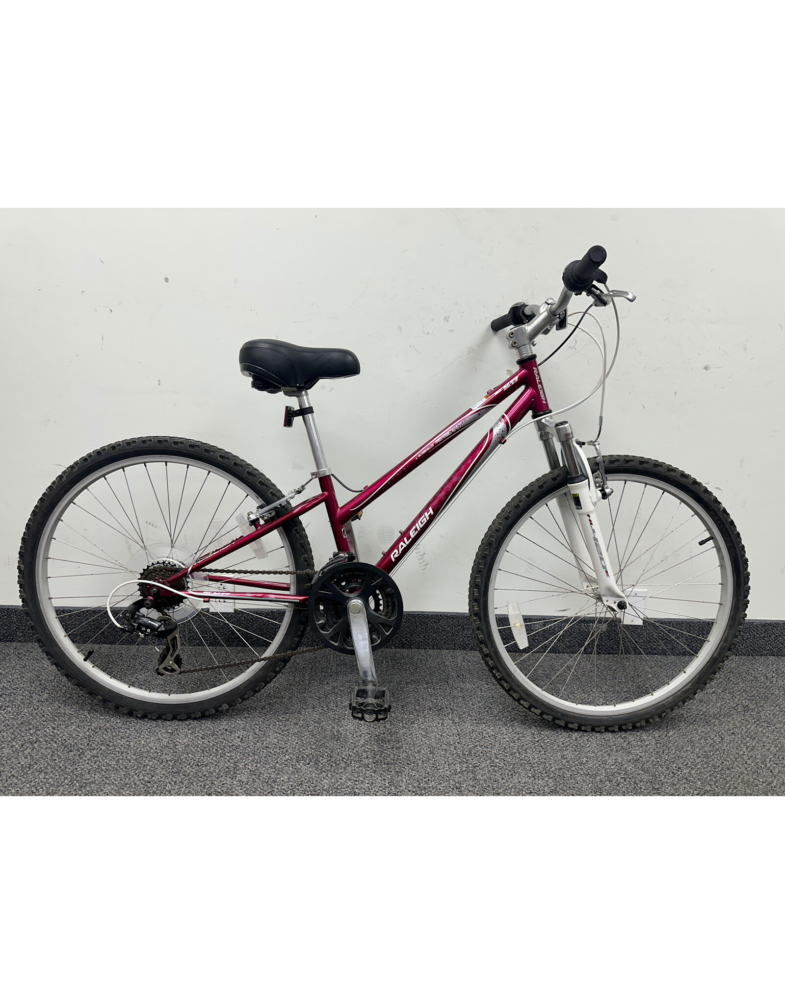 Raleigh EVA 2.0