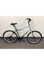 Guardian Adult Bike, Black/Grey