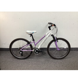 Schwinn Mesa