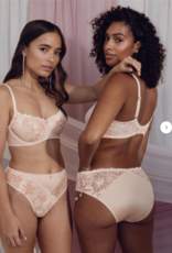 MONTELLE Anniversary Collection Brief FW24