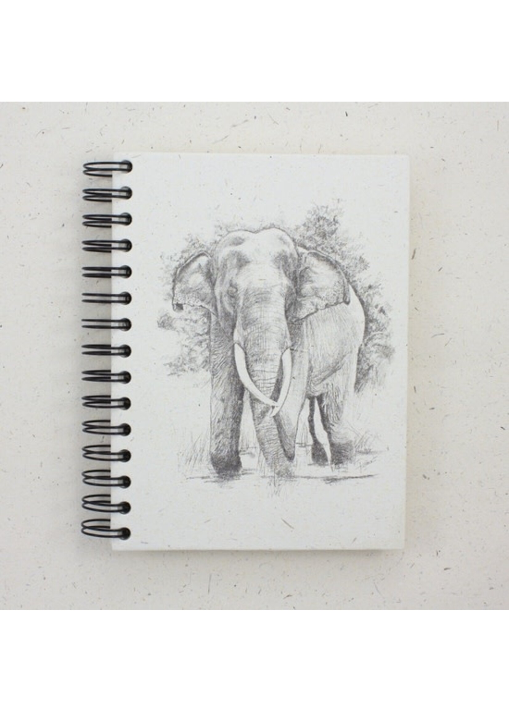 Notebook - Large Elephants