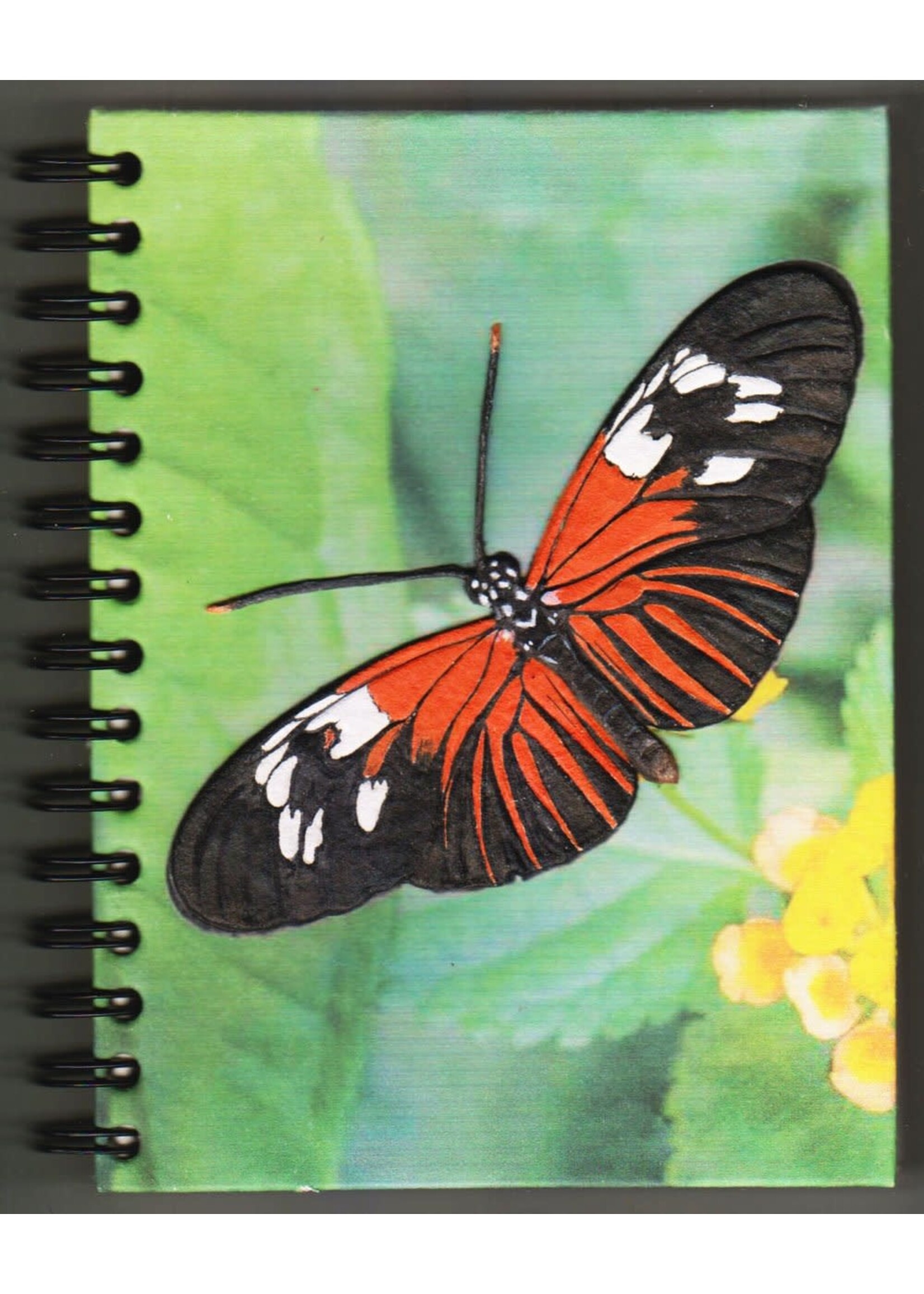 Notebook - Large Pollinators