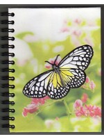 Notebook - Large Pollinators