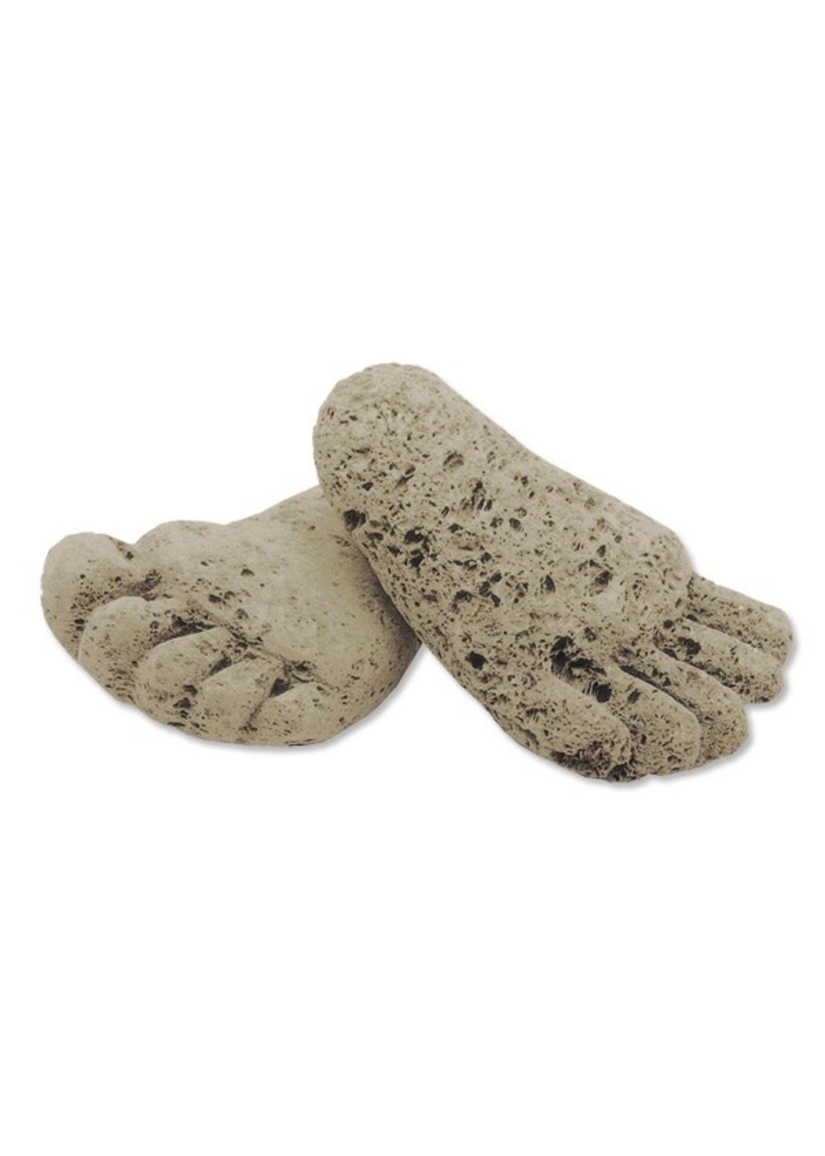 Pumice Stone - Foot