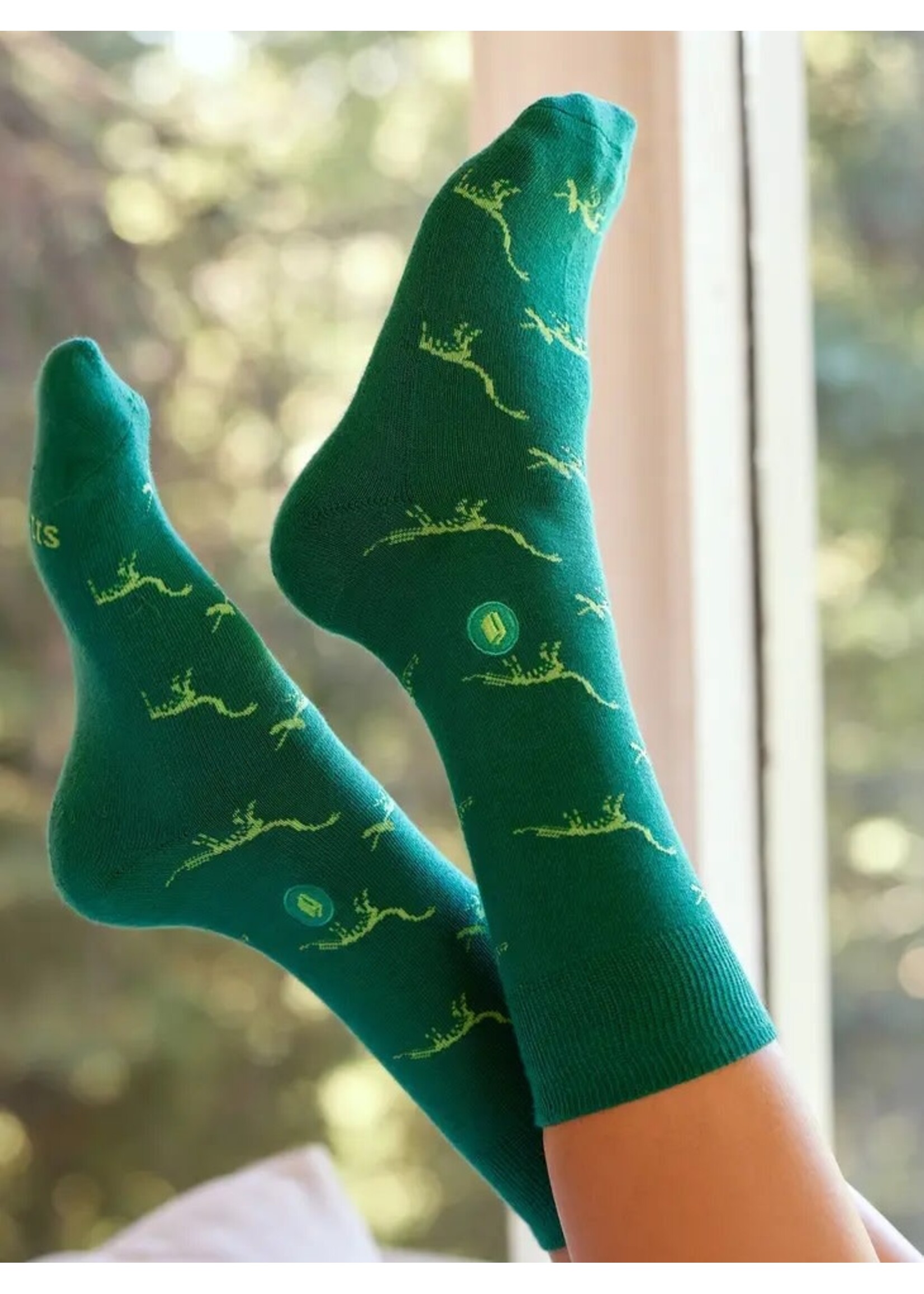 Socks - Give Books Green Dinosaurs