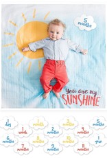 Lulujo Lulujo Baby's First Year Blanket & Cards Set