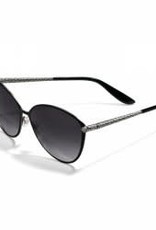 Brighton Brighton Ferrara Gatta Sunglass