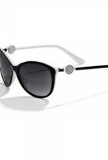 Brighton Brighton Ferrara Blk/Wht Sunglasses