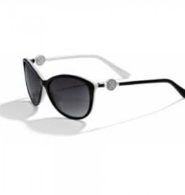 Brighton Brighton Ferrara Blk/Wht Sunglasses