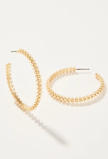 Spartina Spartina Telfair Hoop Earrings  Gold LG