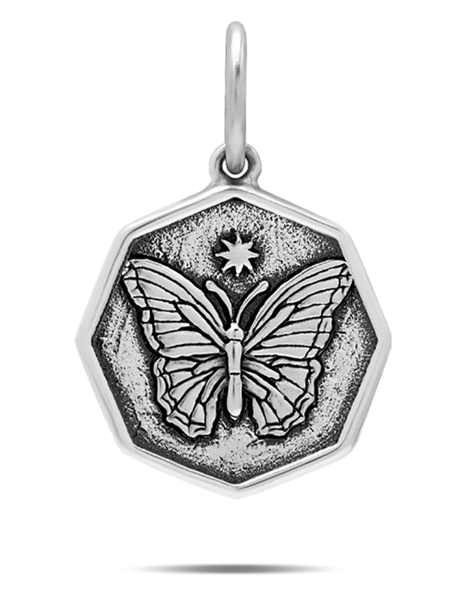 Waxing Poetic Waxing Poetic Wonder Token On Great Wings Charm