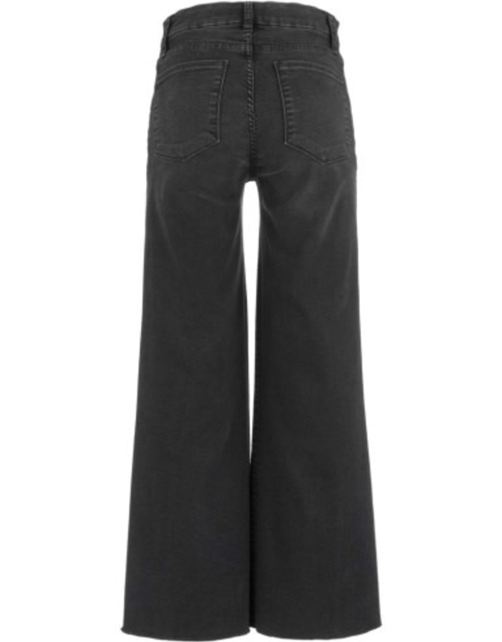 Kut from the Kloth / STS Blue Meg High Rise Wide Leg Frt Pkts Jean