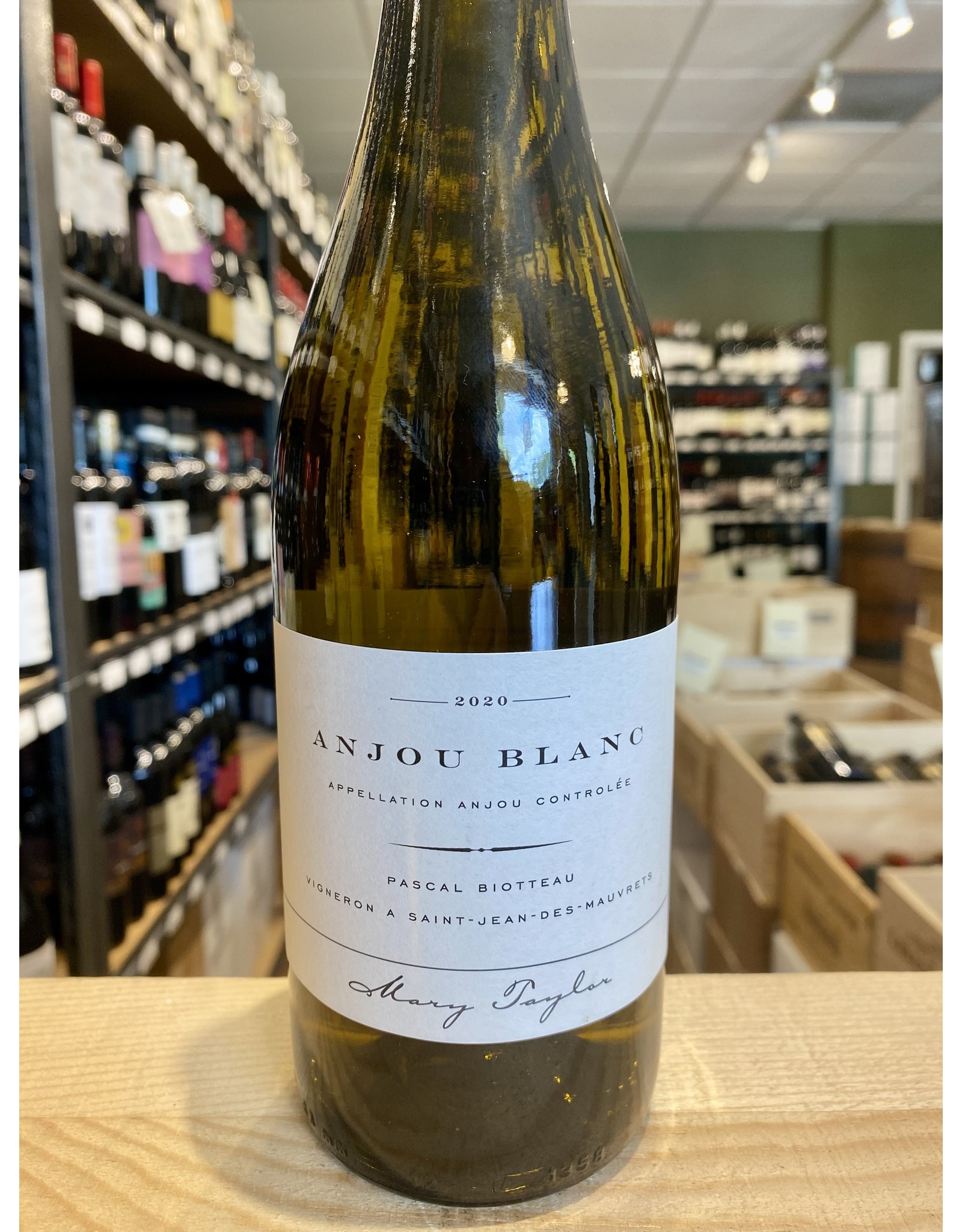 Mary Taylor Anjou Blanc 2023