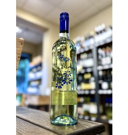 Margaridas Vinho Verde