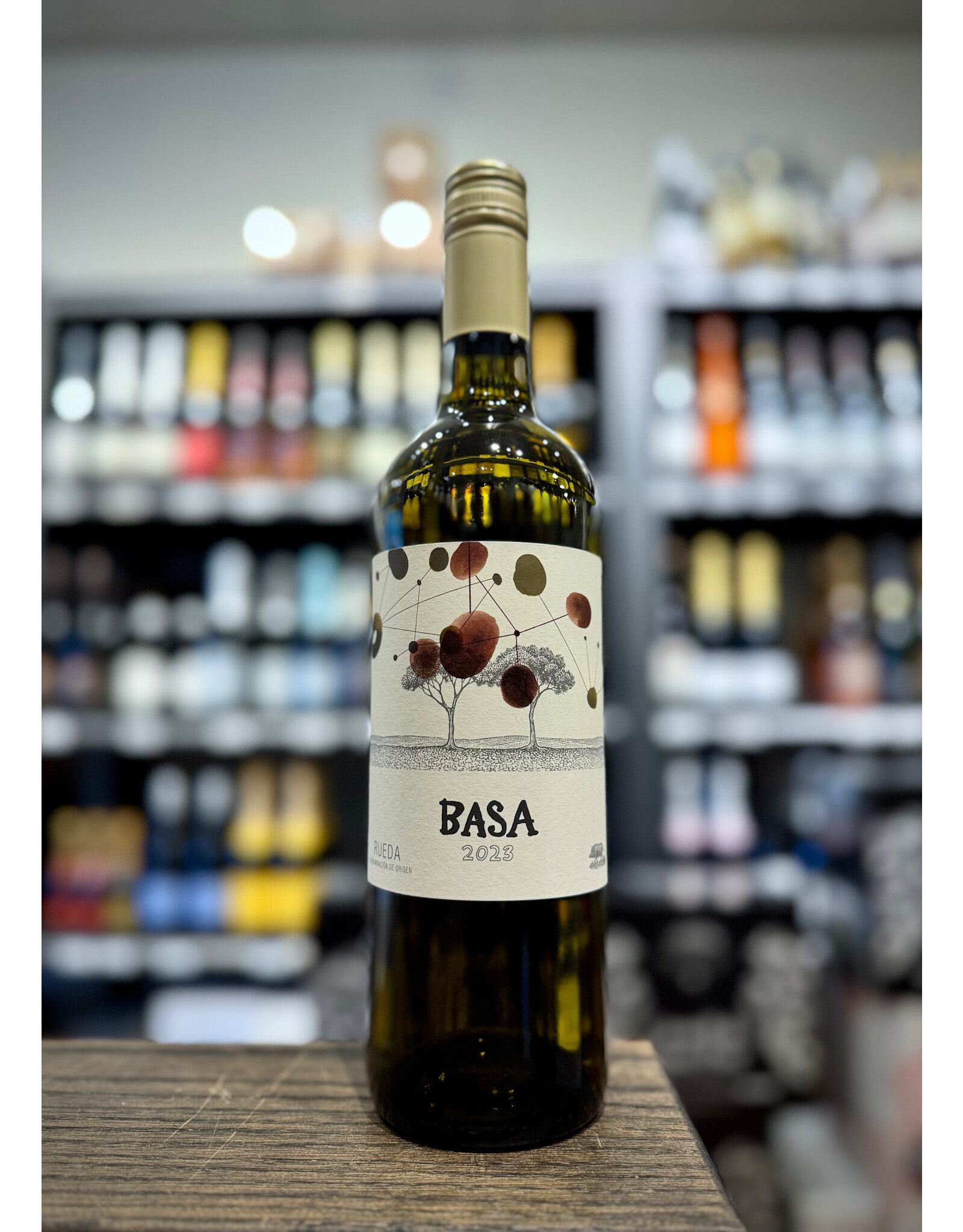 Telmo Rodriguez Rueda Basa 2024