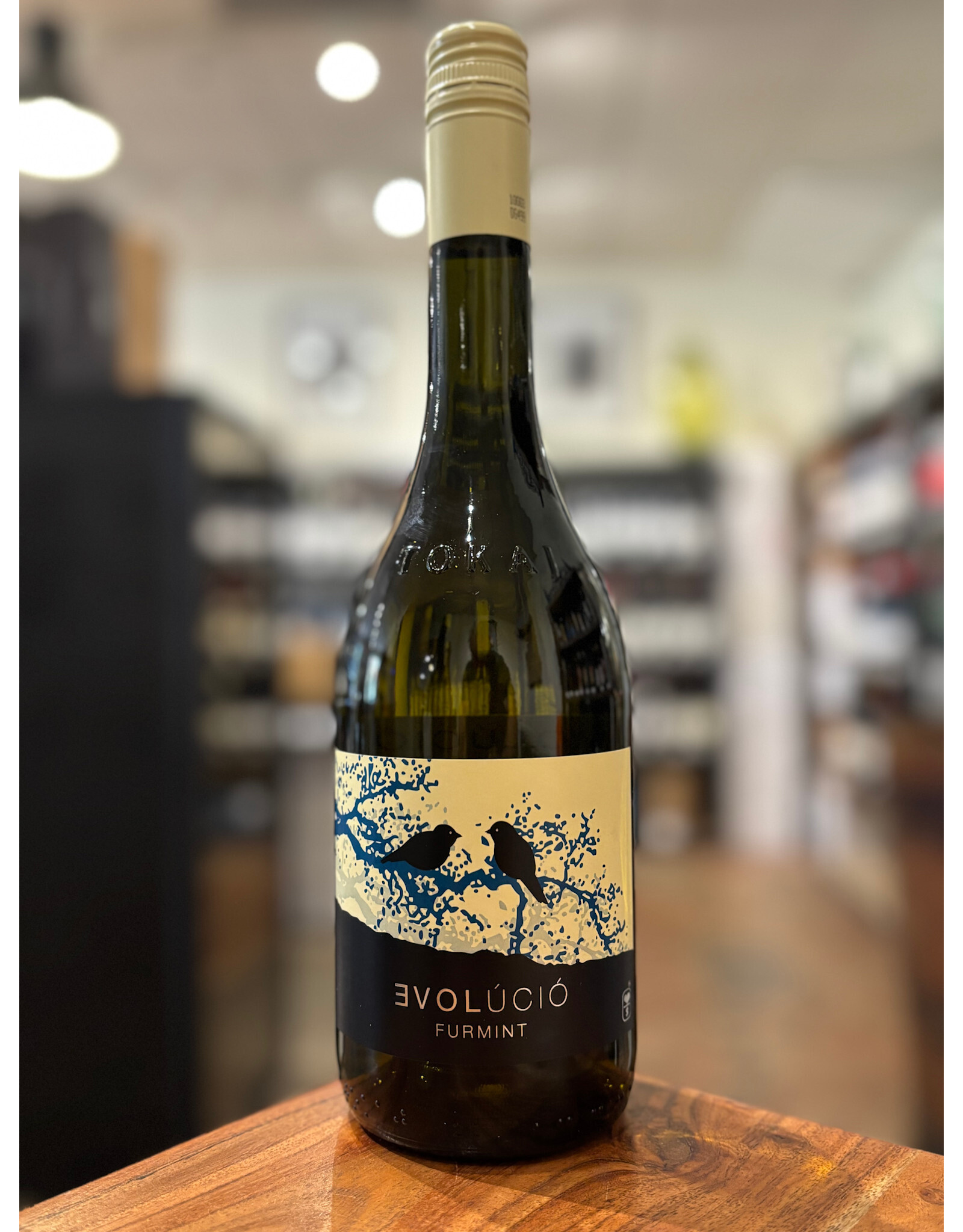 Evolucio Furmint 2022