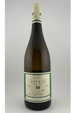 Salvard Sauvignon Blanc Unique 2025