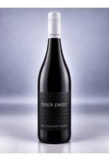 Black Pearl Mischief Maker 2022