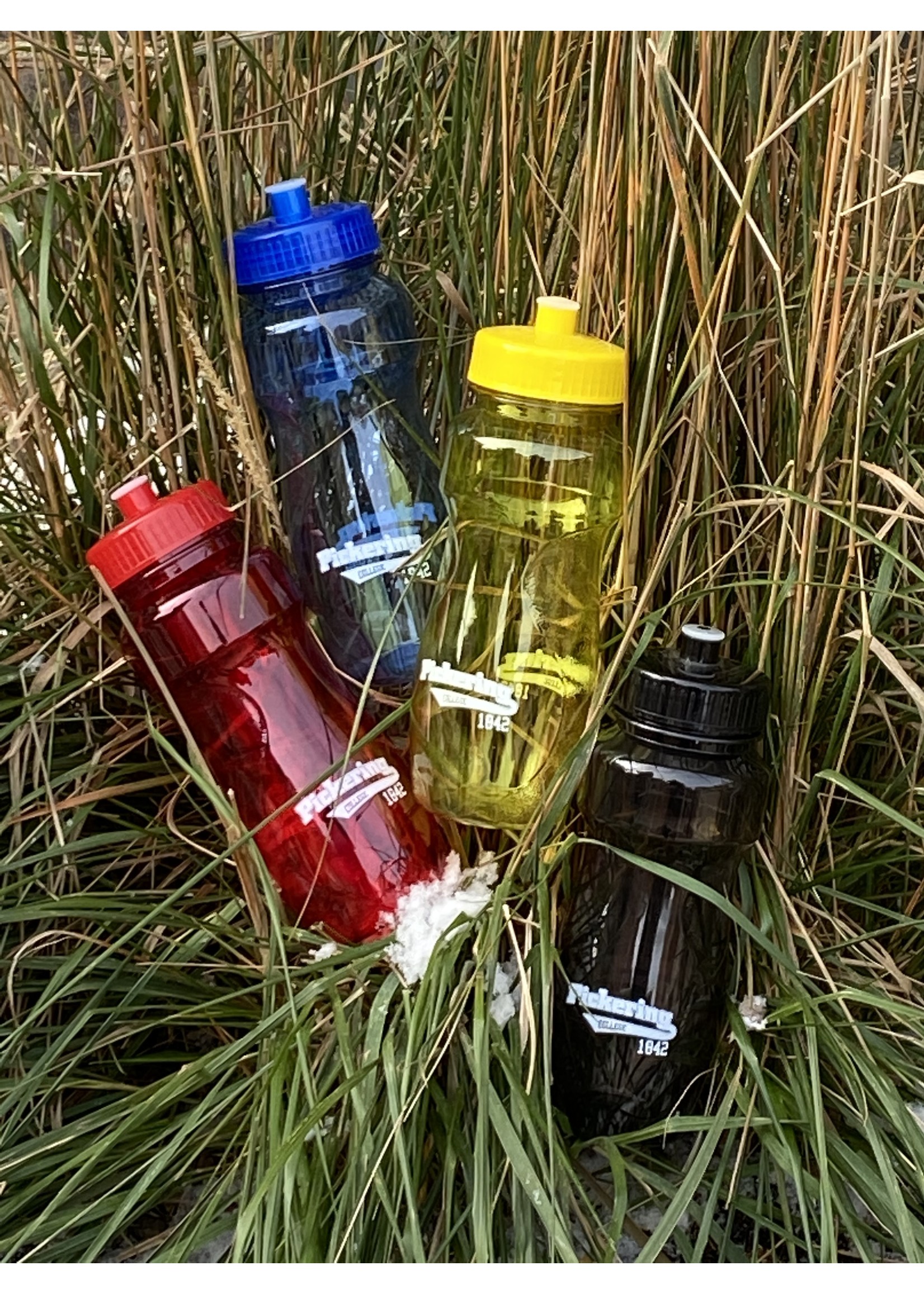 Eclipse Sport Water Bottle with Push/Pull Lid