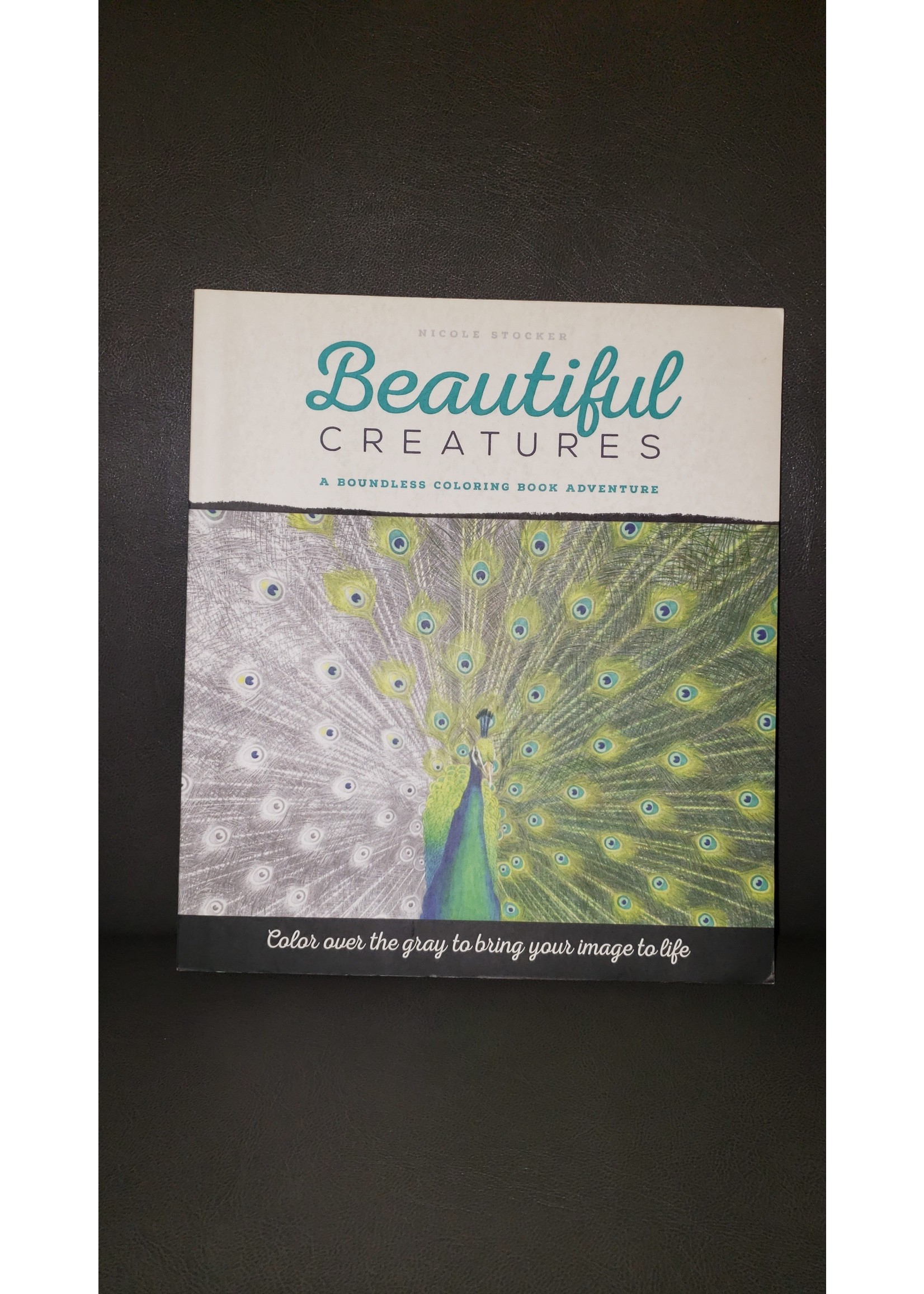 Beautiful Creatures Adult Colouring Book