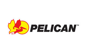 Pelican