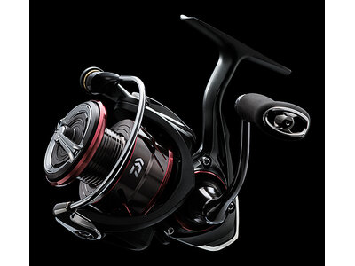 Daiwa Ballistic LT