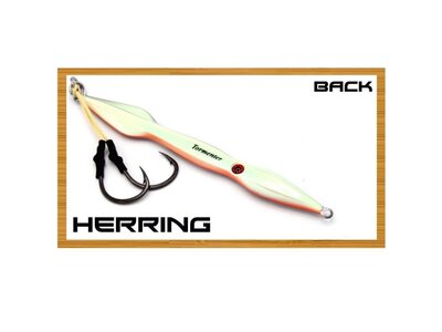 Tormenter SQUIDZILLA JIG