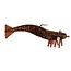D.O.A. Shrimp 3 Pack