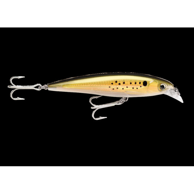 Rapala Saltwater X-Rap SXR10