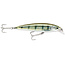 Rapala Saltwater X-Rap SXR10