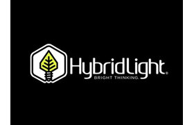 Hybrid Light