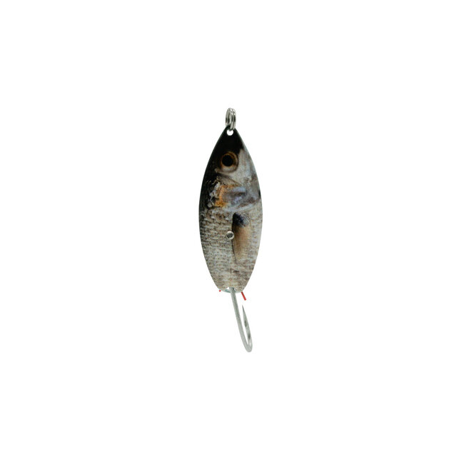 Aqua Dream Weedless Spoon