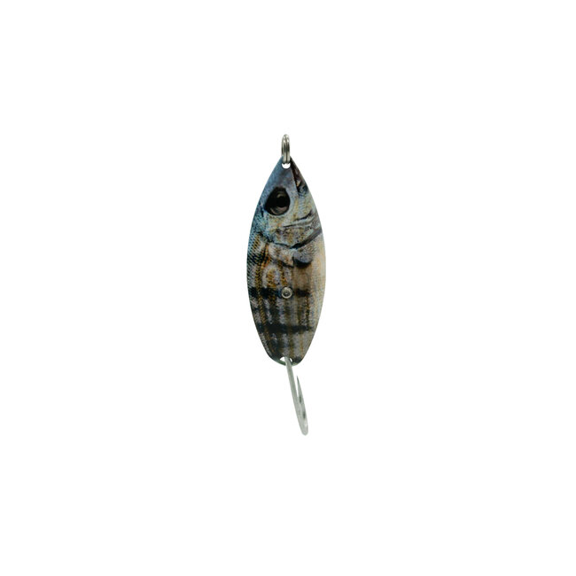 Aqua Dream Weedless Spoon