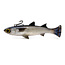 Savage Gear Pulse Tail Mullet Line Thru 6"
