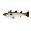 Savage Gear Pulse Tail Mullet Line Thru 6"